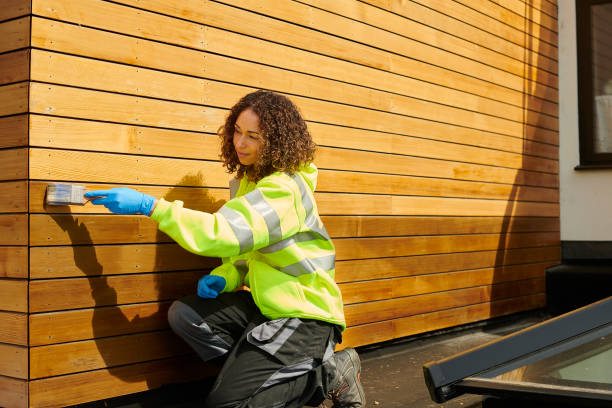 Best Fascia and Soffit Installation  in Hiawatha, KS